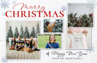 Family Photos / Christmas